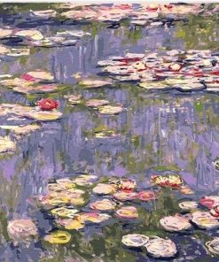 Water Lilies Pond Claude Monet Landscape Paint By Numbers