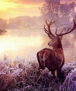 Deer The River Paint By Numbers