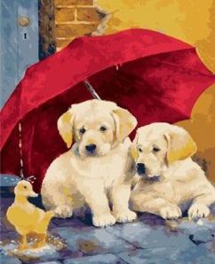 Dogs Umbrela Paint By Numbers