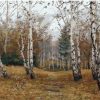 Forest Landscape Paint By Numbers