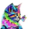 Colored Cat And Butterfly Animals Paint By Numbers