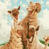 Funny Sheep paint by numbers