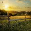 Farm Land Landscape Paint By Numbers