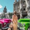 Havana Paint By Numbers