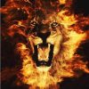 Lion of Fire paint by numbers