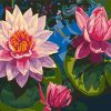 Lotus Flower On Water paint by numbers