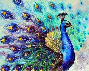 Peacock Birds Paint By Numbers