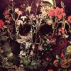Flowering Skull  Flowers Paint By Numbers