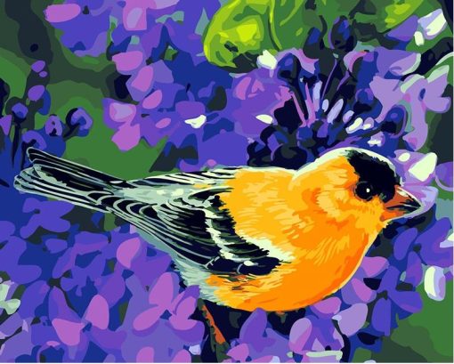 Bird Modern Wall Art Canvas - DIY Paint By Numbers - Numeral Paint