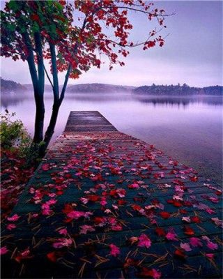 Red Tree Leaves On Lake paint by numbers