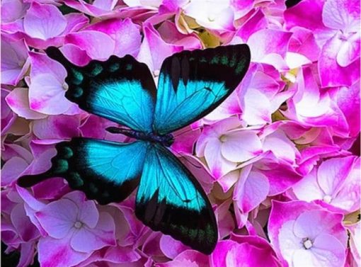 Blue Butterfly Paint By Numbers