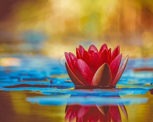 Lotus In Water Paint By Numbers