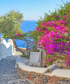 Santorini Flowers Paint By Numbers