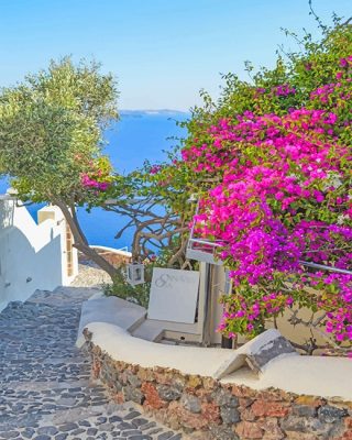 Santorini Flowers Paint By Numbers