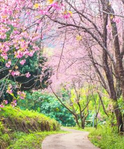 Blossom Trees Paint By Numbers