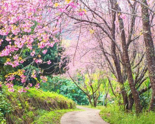 Blossom Trees Paint By Numbers