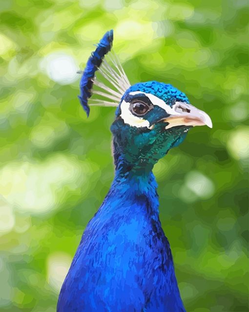 Peacock Portrait Paint By Numbers