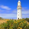 Cape Otway Paint By Numbers