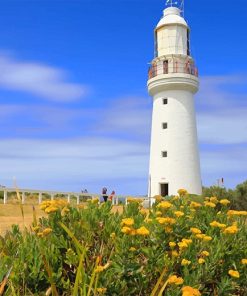 Cape Otway Paint By Numbers