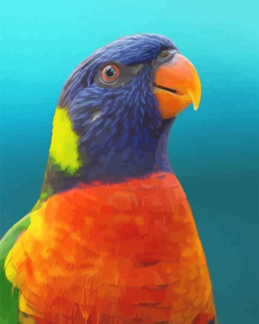 Colorful Parrot BirdPaint By Numbers