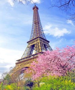 Eiffel In Spring Paint By Numbers