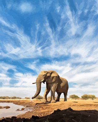 Elephant Paint By Numbers