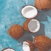 Fresh Coconut Paint By Numbers