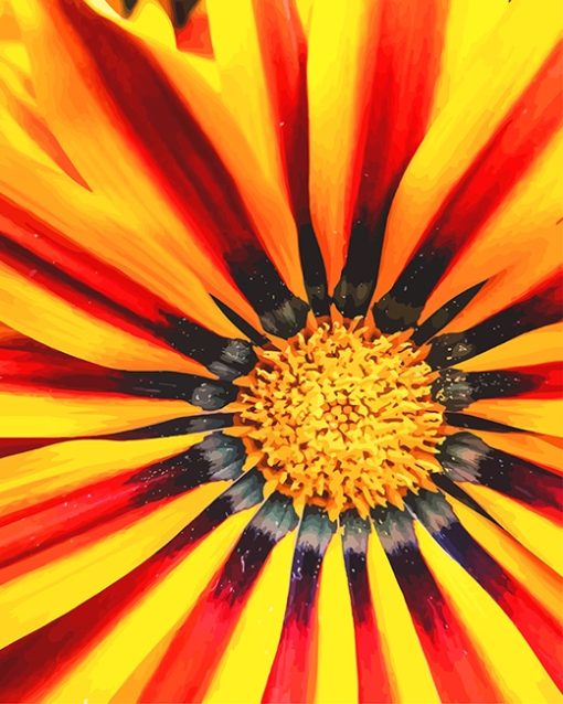 Yellow Gazania Paint By Numbers