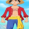 Luffy Anime Paint By Numbers