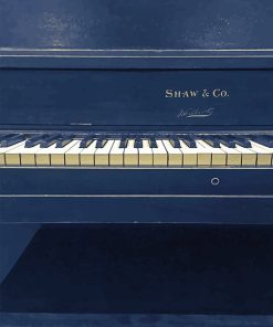 Piano Shaw Paint By Numbers