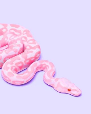 Pink Snake Paint By Numbers