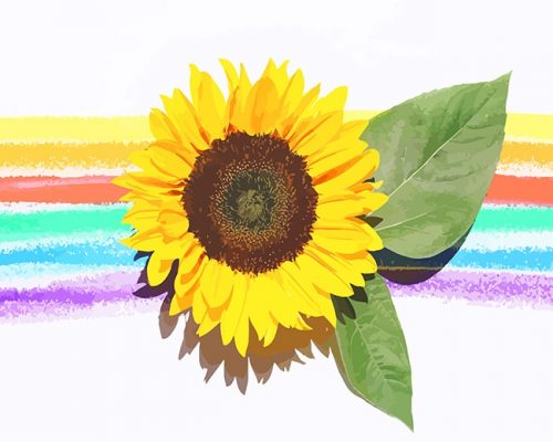 Rainbow Sunflower Paint By Numbers