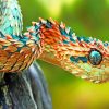 Spiny Snake Paint By Numbers