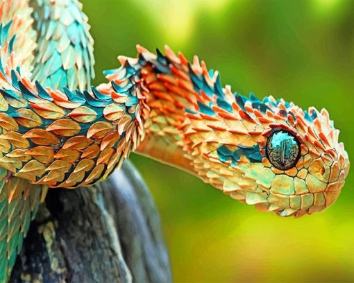 Spiny Snake Paint By Numbers