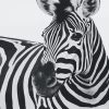 Zebra Paint By Numbers