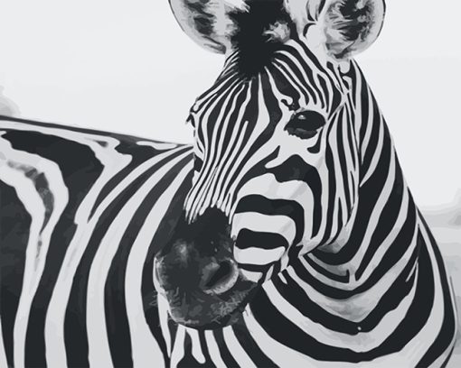 Zebra Paint By Numbers