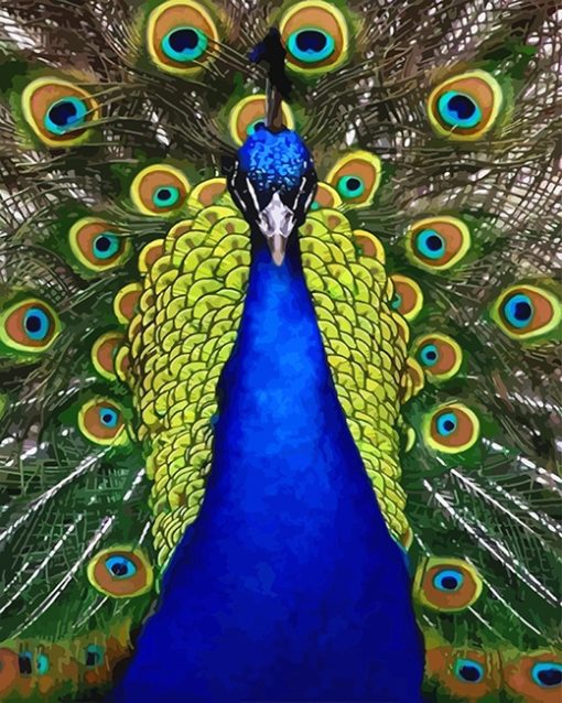 Golden Peacock Paint By Numbers