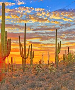 Cactus Arizona Paint By Numbers