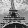 Eiffel Monochrome Paint By Numbers