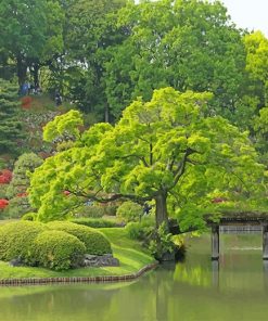 Rikugien Garden Paint By Numbers