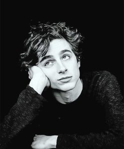 Timothée Portrait Paint By Numbers