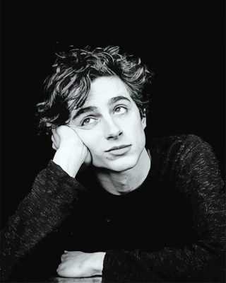 Timothée Portrait Paint By Numbers