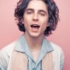 Timothee Chalamet Paint By Numbers