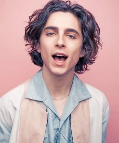 Timothee Chalamet Paint By Numbers