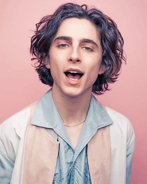 Timothee Chalamet Paint By Numbers