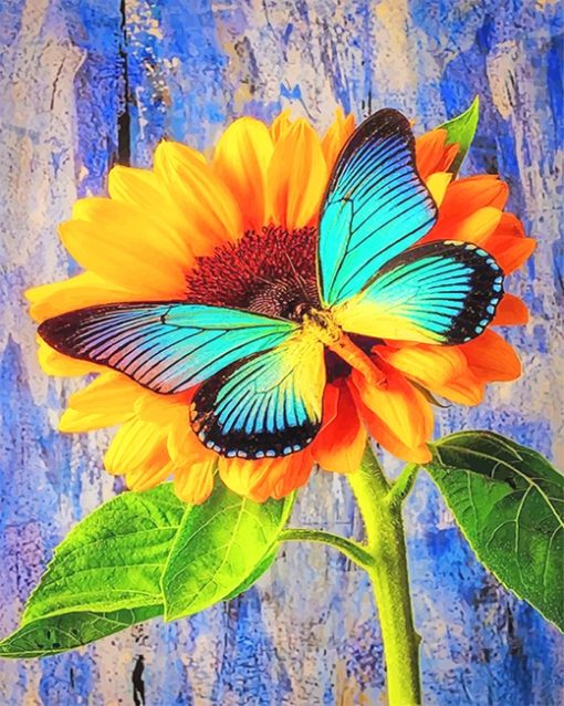 Butterfly On Sunflower Paint By Numbers