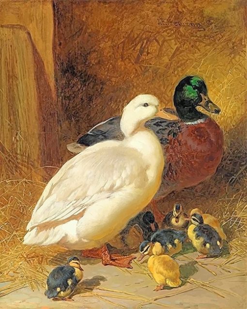 Mallard Ducks Paint By Numbers