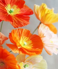 Orange Poppies Paint By Numbers