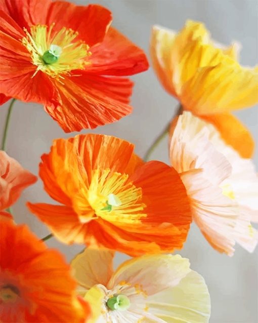 Orange Poppies Paint By Numbers