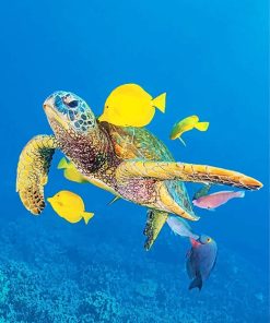 Sea Turtles Paint By Numbers